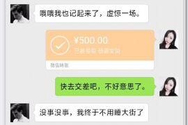 嘉峪关企业清欠服务